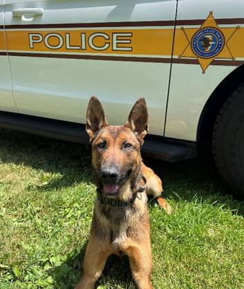 Illinois State Police K-9 Gets Body Armor | MyRadioLink.com